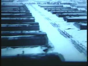 Baracken von Auschwitz-Birkenau