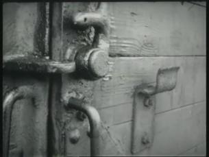 Holocaust