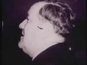 Professor Carlo Schmid