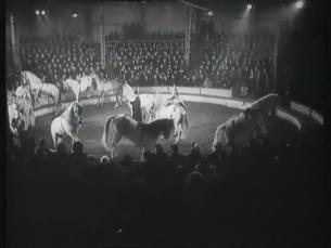 Vorstellung des Zirkus Krone