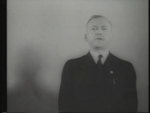 Nationalsozialistische Deutsche Arbeiterpartei (NSDAP)