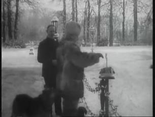 Revolution 1918-1919