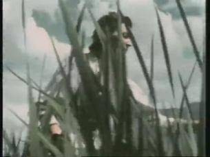 Adolf Hitler privat