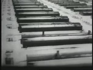 Konzentrationslager/Vernichtungslager Auschwitz
