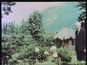 Deutschland im 20. Jahrhundert: 1940er