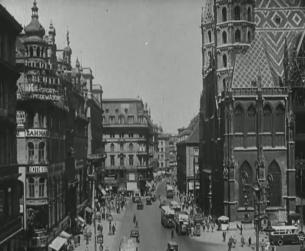 Der Erste Weltkrieg in Europa: Österreich