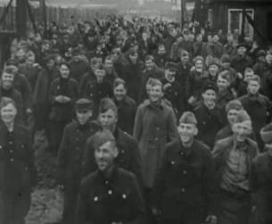 Der Zweite Weltkrieg in Europa: Befreiung