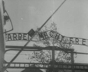 Der Zweite Weltkrieg in Europa: Befreiung