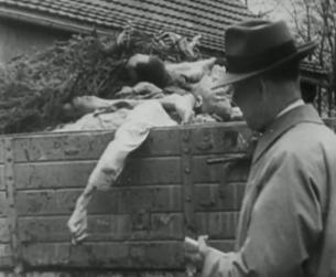 Der Zweite Weltkrieg in Europa: Massenmord