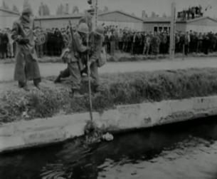 Der Zweite Weltkrieg in Europa: Massenmord