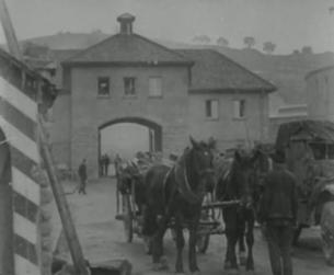 Der Zweite Weltkrieg in Europa: Massenmord