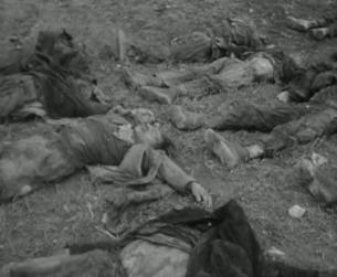 Der Zweite Weltkrieg in Europa: Kriegsverbrechen