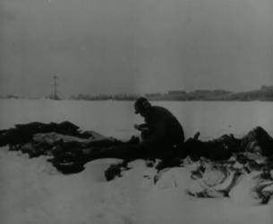 Der Zweite Weltkrieg in Europa: Kriegsverbrechen