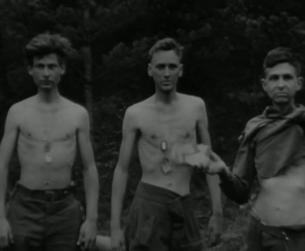 Der Zweite Weltkrieg in Europa: Kriegsverbrechen