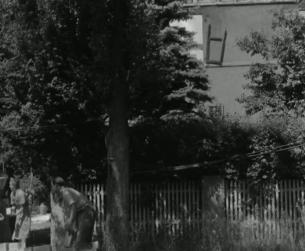 Deutschland im 20. Jahrhundert: Nachkriegszeit