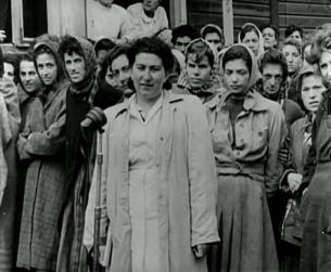 Der Zweite Weltkrieg in Europa: Befreiung