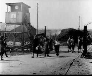 Der Zweite Weltkrieg in Europa: Befreiung