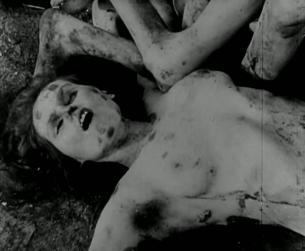 Der Zweite Weltkrieg in Europa: Massenmord