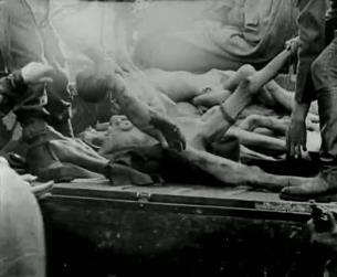 Der Zweite Weltkrieg in Europa: Massenmord
