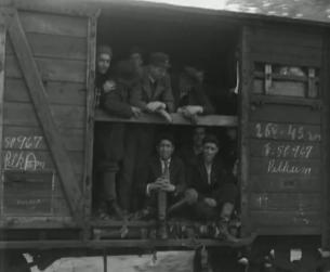 Der Zweite Weltkrieg in Europa: Befreiung