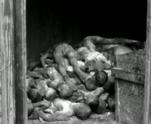 Der Zweite Weltkrieg in Europa: Massenmord