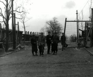 Der Zweite Weltkrieg in Europa: Befreiung