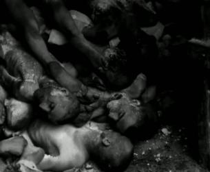 Der Zweite Weltkrieg in Europa: Massenmord