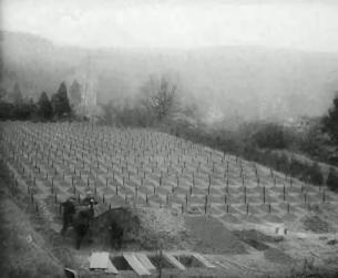 Der Zweite Weltkrieg in Europa: Massenmord