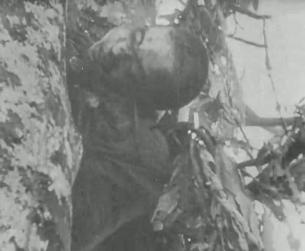 Der Zweite Weltkrieg: Pazifikkrieg