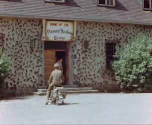 Der Zweite Weltkrieg in Europa: Kriegsende