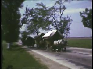 Transport mit dem Pferd in Rumänien