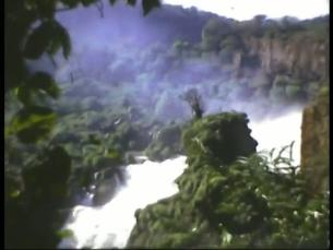 Gewässer im brasilianischen Regenwald