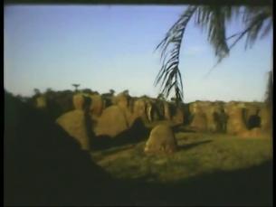 Geologische Formationen in einem brasilianischen Nationalpark