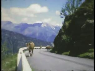 Verkehr in Südtirol