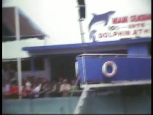 Delfinarium in Miami